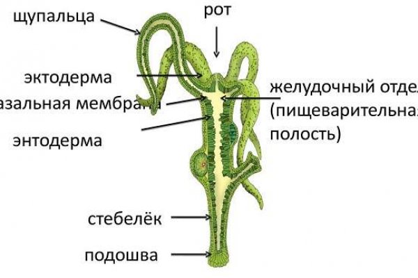 Впн для кракена