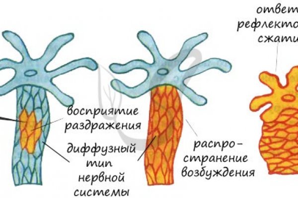 Кракен маркет что