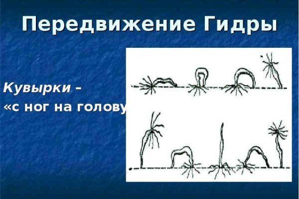 Рабочий сайт kraken