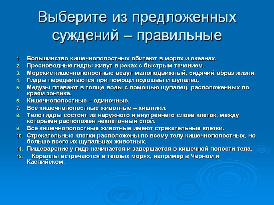 Вход на кракен зеркало